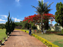 Jardins em detalhe viveiros ao fundo